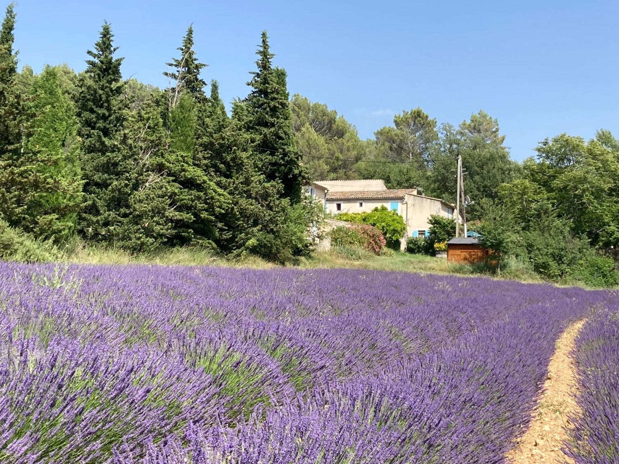 Maison Au Colorado Provencal Villa รุสเทรล ภายนอก รูปภาพ